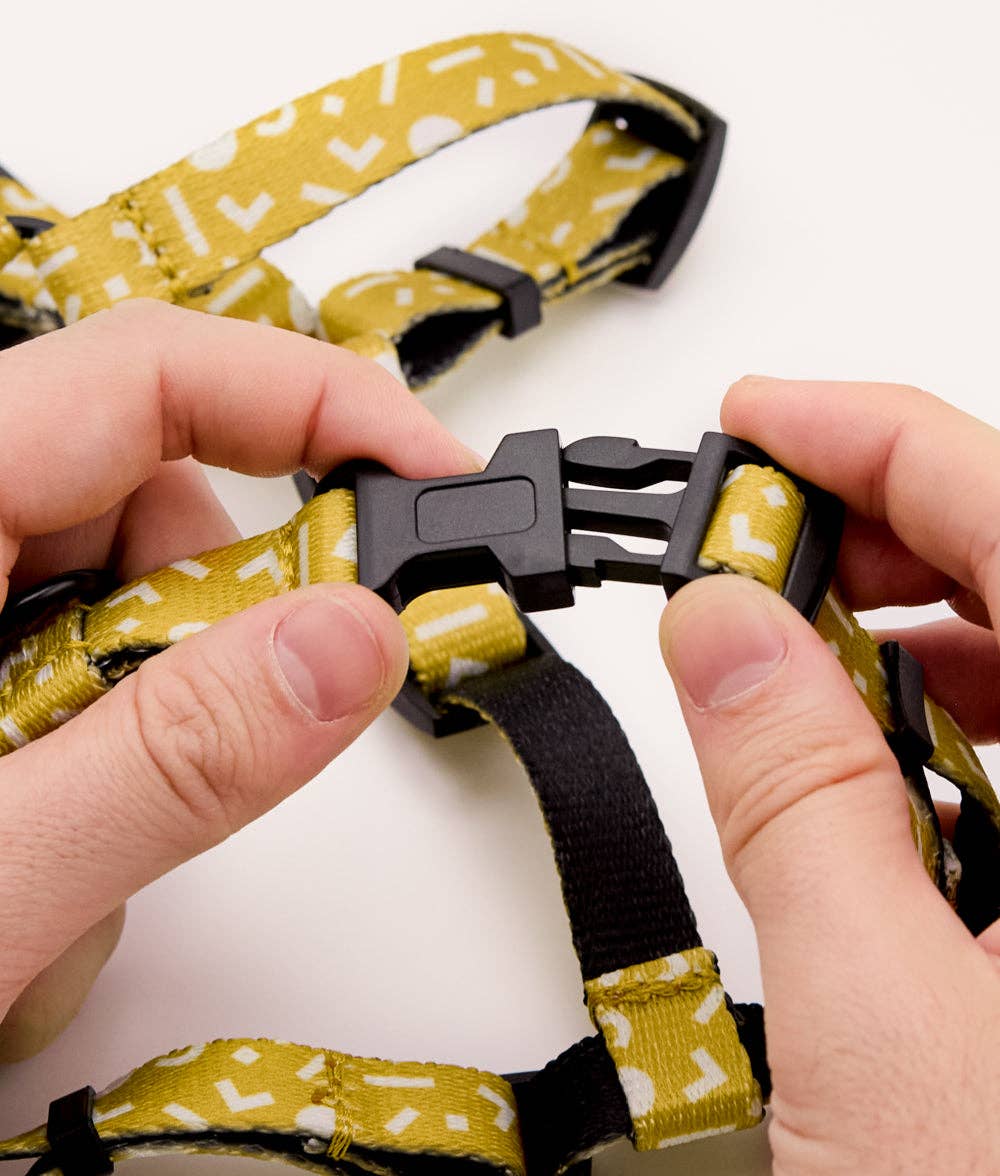 Memphis Mustard Design Recycled PET Harness, Juno: S