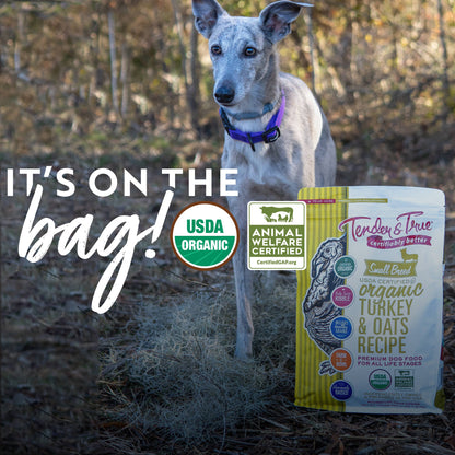 Organic Small Breed Turkey & Oats Recipe Dry Dog Food | 4 lb