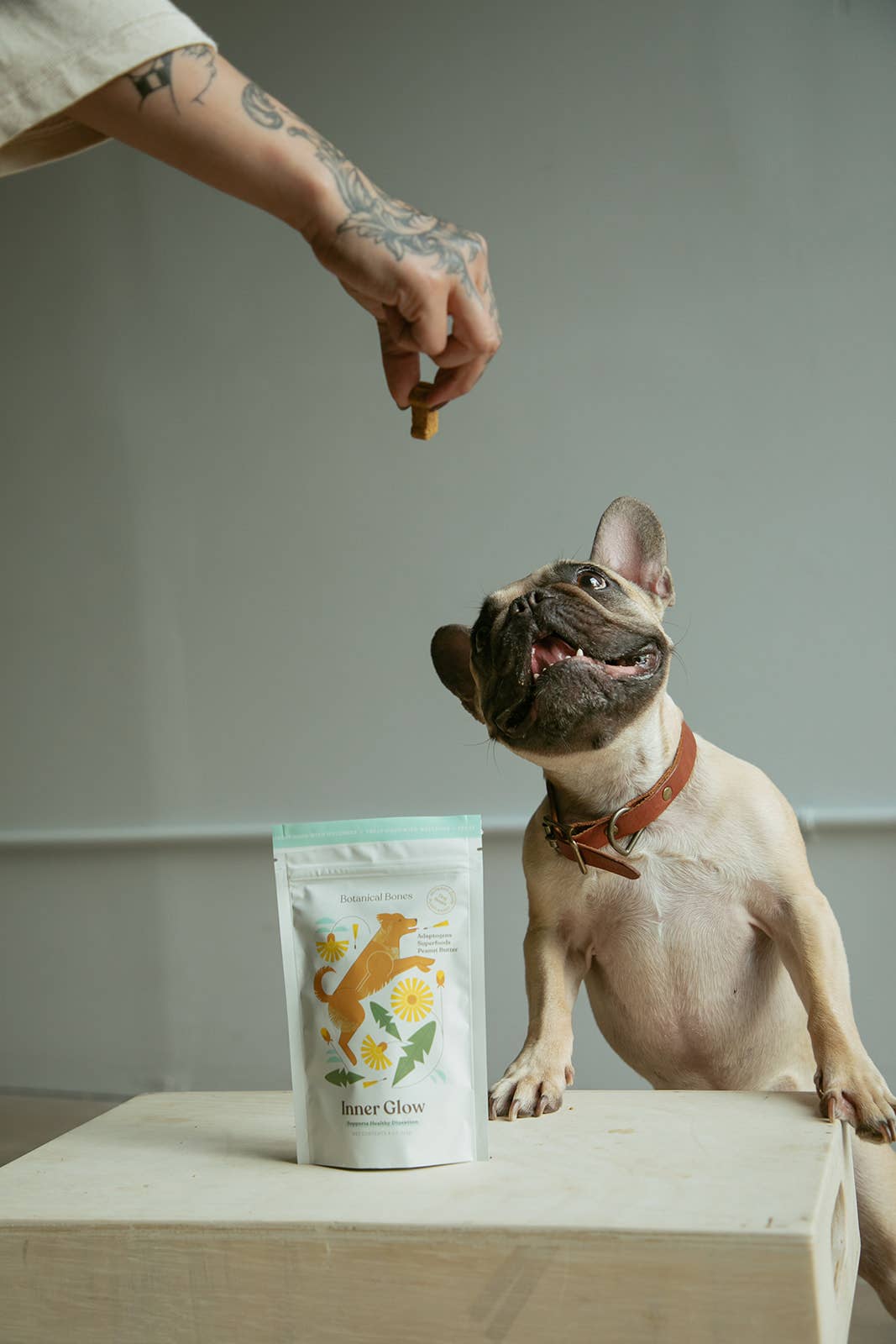 Inner Glow Cookies | All-Natural Organic Dog Treats