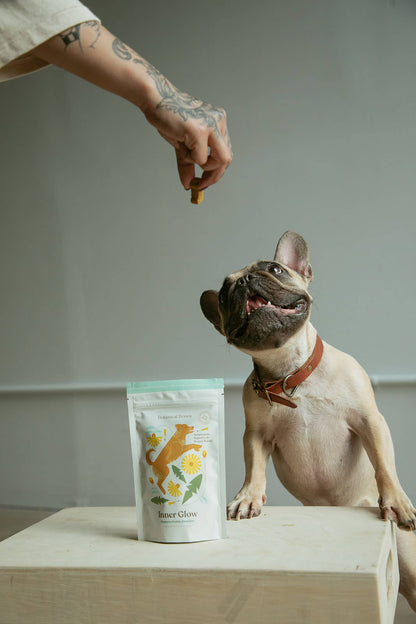 Inner Glow Cookies | All-Natural Organic Dog Treats