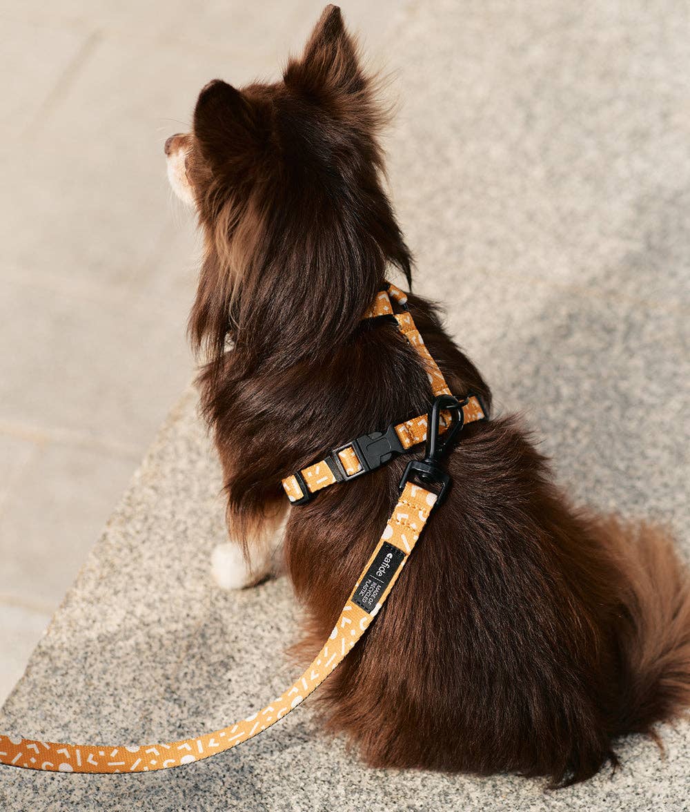 Memphis Mustard Design Recycled PET Harness, Juno: S