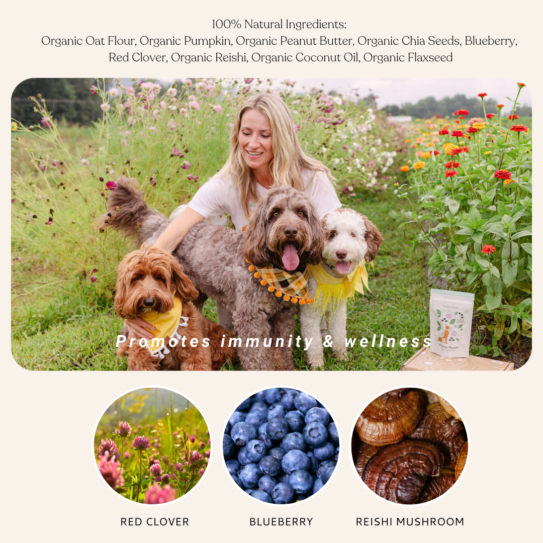 Flower Power Cookies | All-Natural Organic Dog Treats
