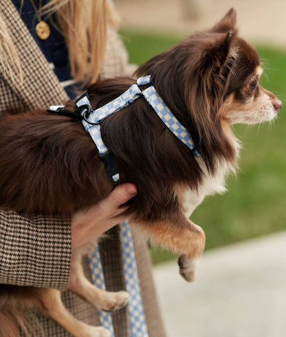 Vichy Blue Design Recycled PET Harness, Juno: M