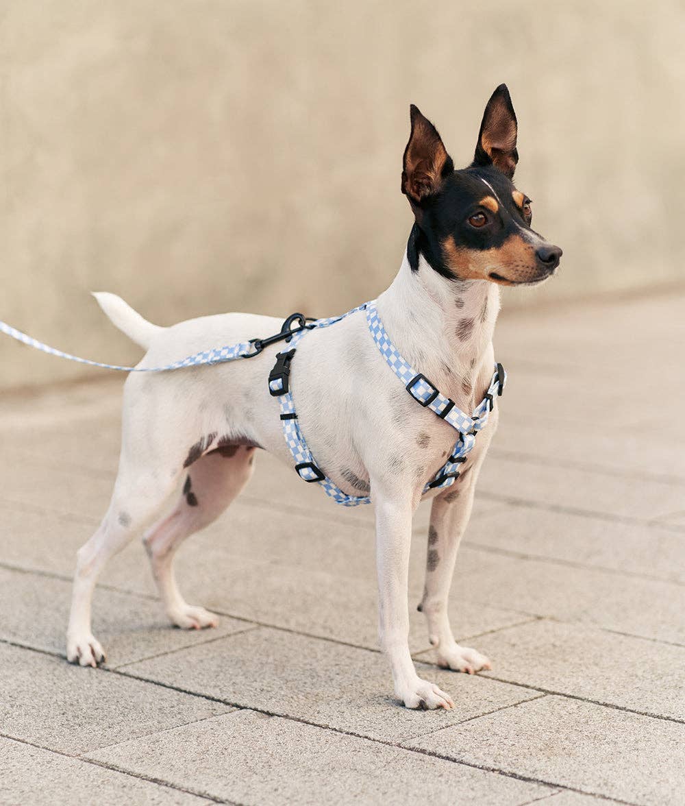 Vichy Blue Design Recycled PET Harness, Juno: M