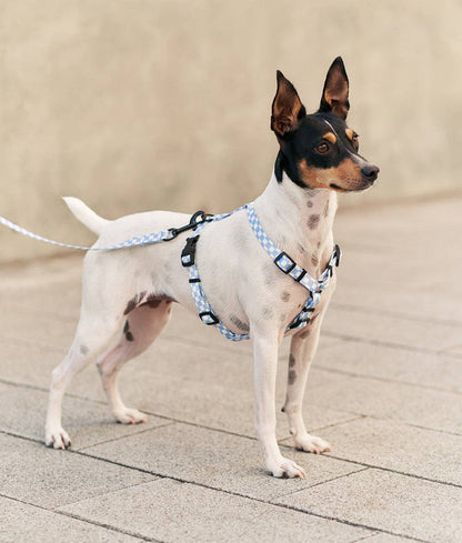 Vichy Blue Design Recycled PET Harness, Juno: M