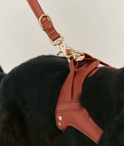 Brown Vegan Leather Harness, Jala: M