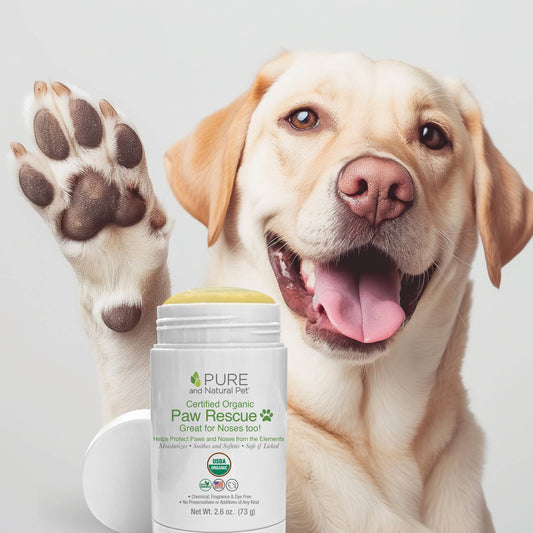 Dog raising a paw beside Pure and Natural Pet Paw Rescue balm for dry and cracked paw pads