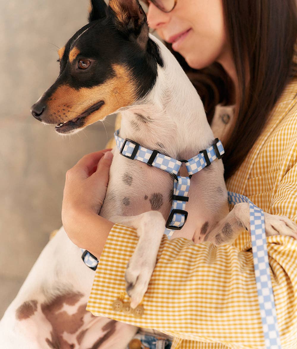 Vichy Blue Design Recycled PET Harness, Juno: M