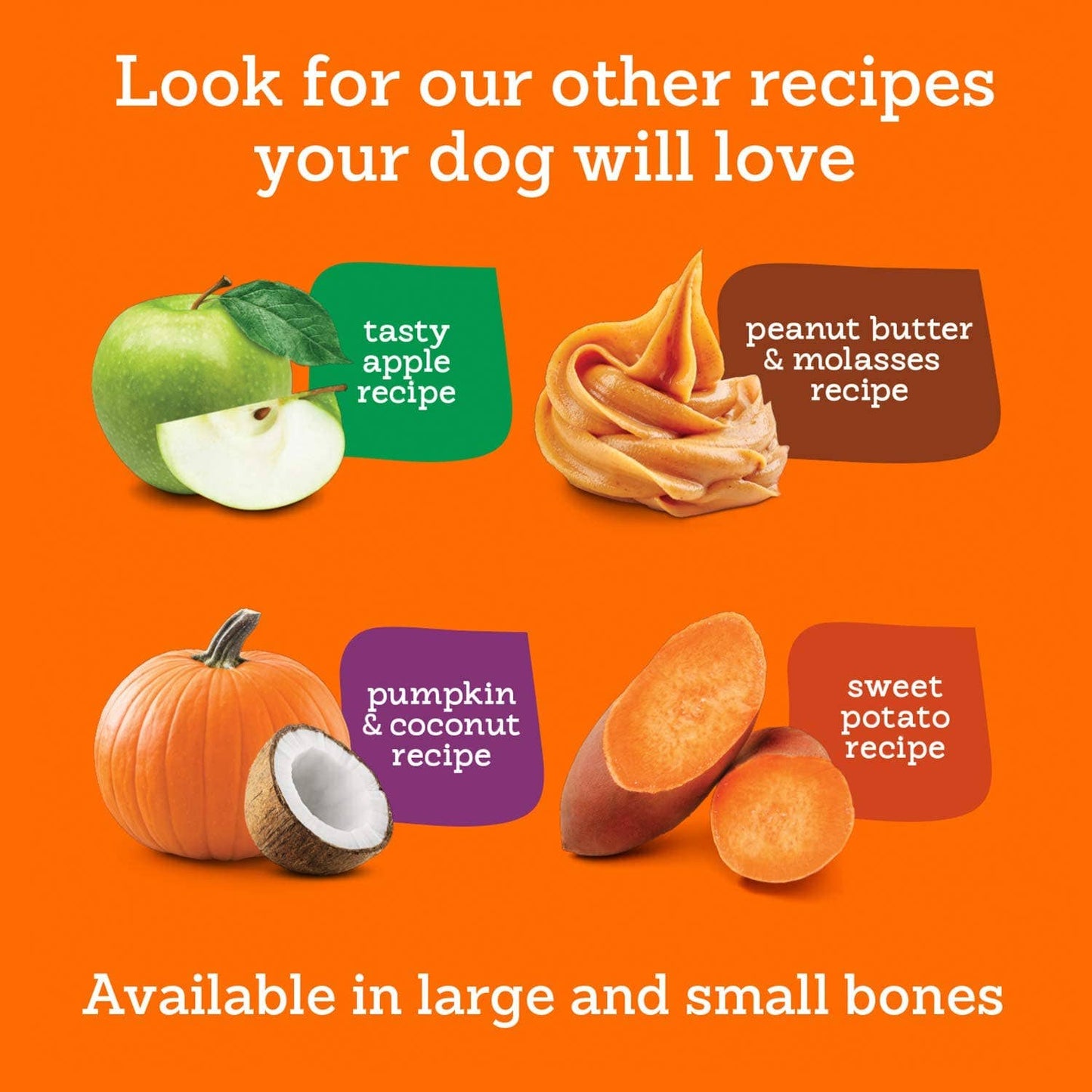 Riley’s Organics Pumpkin & Coconut Dog Treats | Large Bone | 5 oz