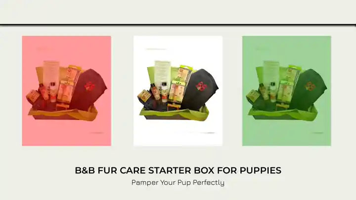 B&amp;B Fur Care Starter Box For Puppies by@Outfy